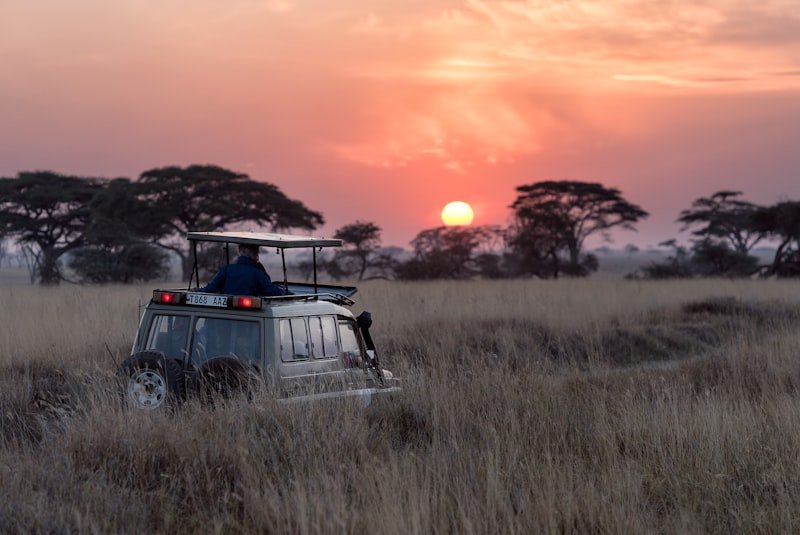 The African Dream Vacation