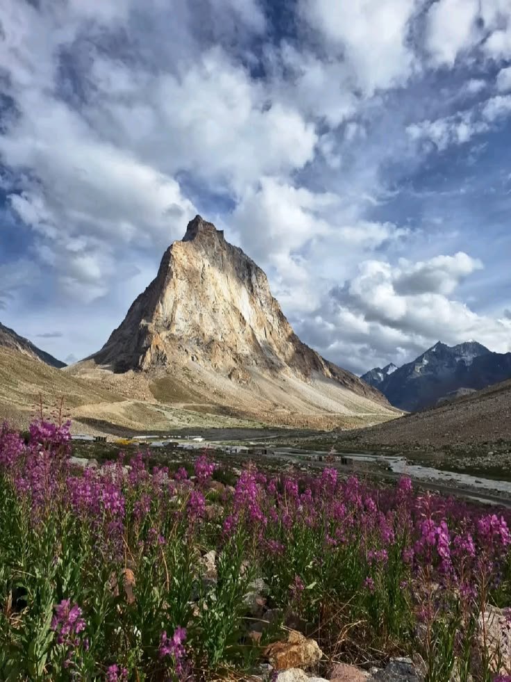 Escape to Zanskar - Group Trip