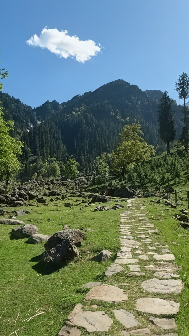 Shimla-Manali with Sissu : The Himachal Odyssey Gallery Image 5