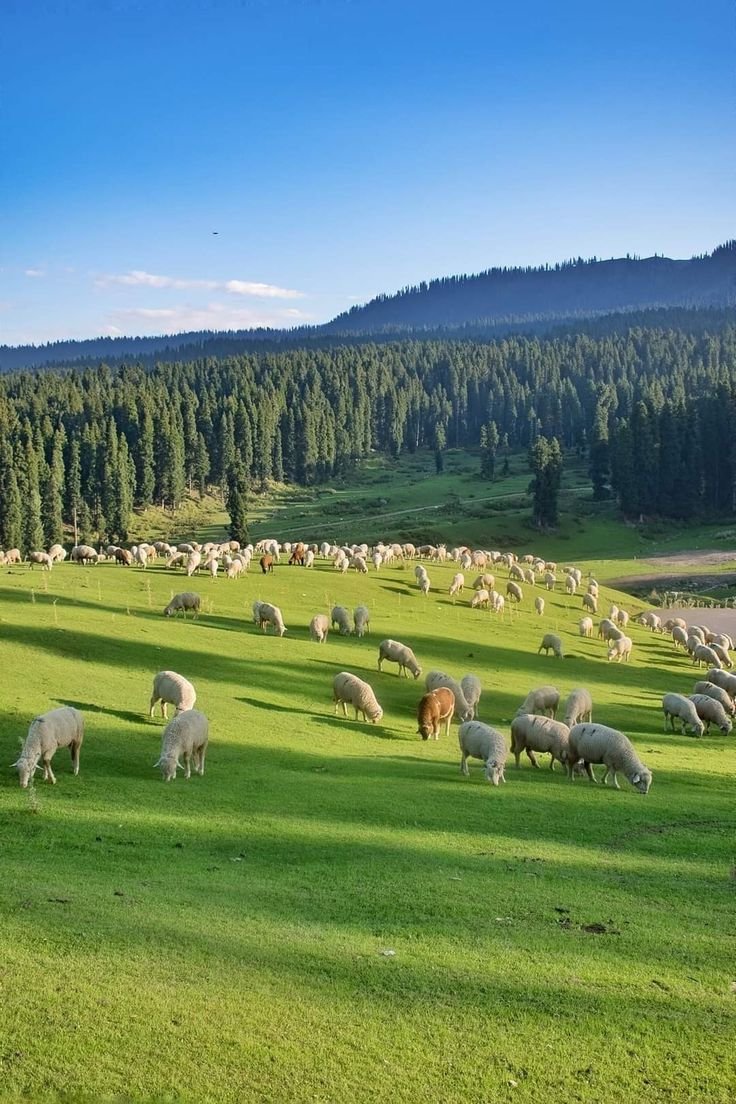 Kashmir Slow-Paced Expedition Gallery Image 3