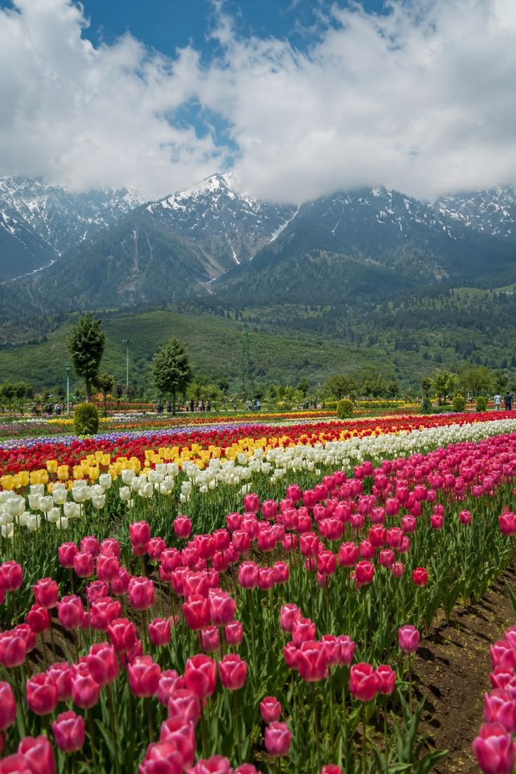 Kashmir Slow-Paced Expedition Gallery Image 4