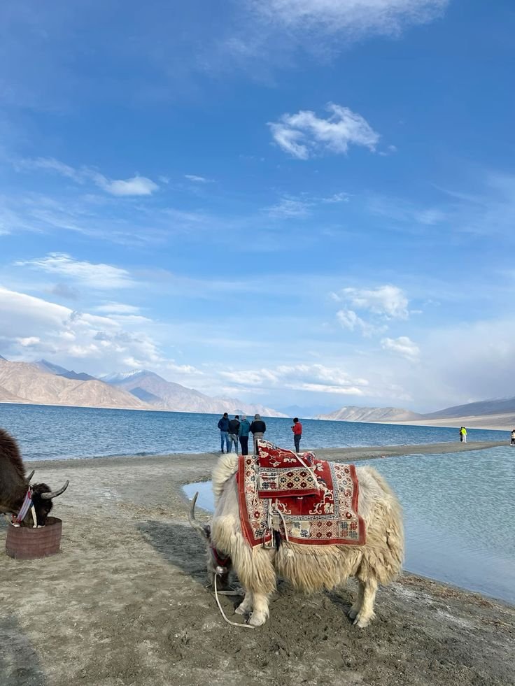 Ladakh: High Passes & Blue Waters Expedition Gallery Image 3