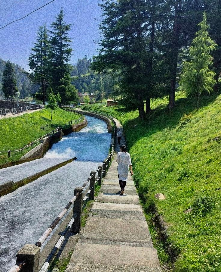 Bir Billing Escape: Paragliding, Rajgundha Valley & Prashar Lake Gallery Image 5